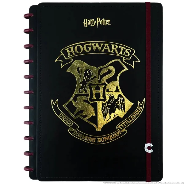 CADERNO INTELIGENTE CI BY HARRY POTTER - GRANDE