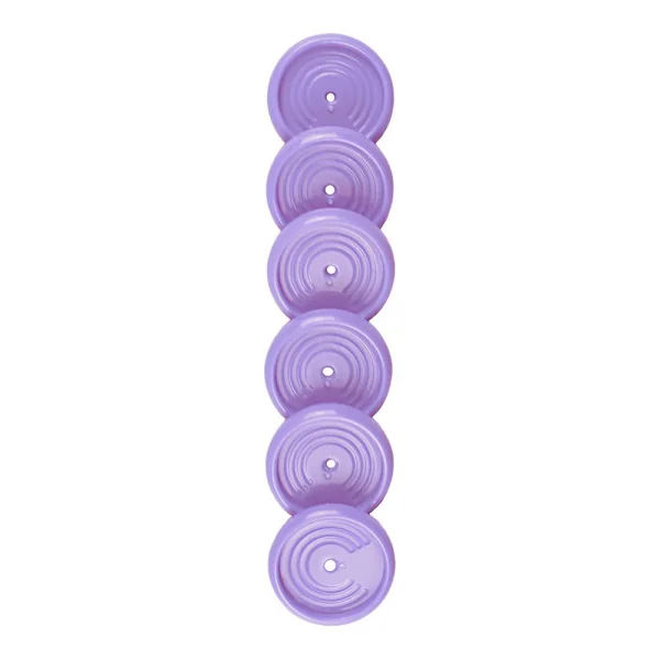 DISCOS + ELASTICO ROXO DOS PAMPAS - G