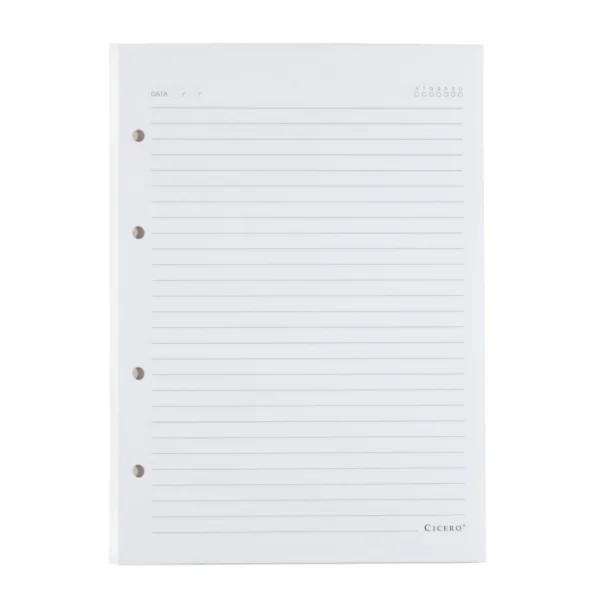 REFIL CADERNO CRIATIVO ARGOLADO 40FLS OFFSET 90G PAUTADO 17X24