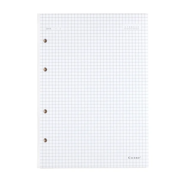 REFIL CADERNO CRIATIVO ARGOLADO 40FLS OFFSET 90G QUADRICULADO 17X24