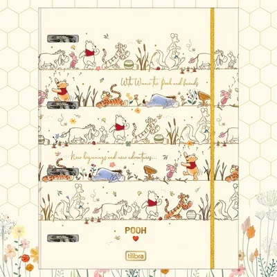 CADERNO ARGOLADO CARTONADO POOH 48F