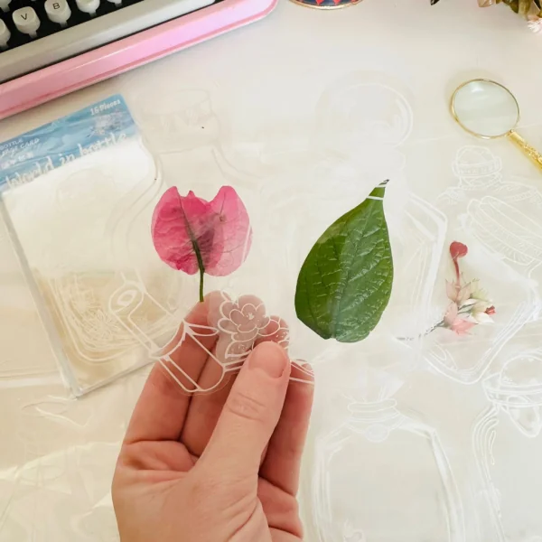 Kit DIY Marcadores com 16 Adesivos de Potinhos para Guardar Flores