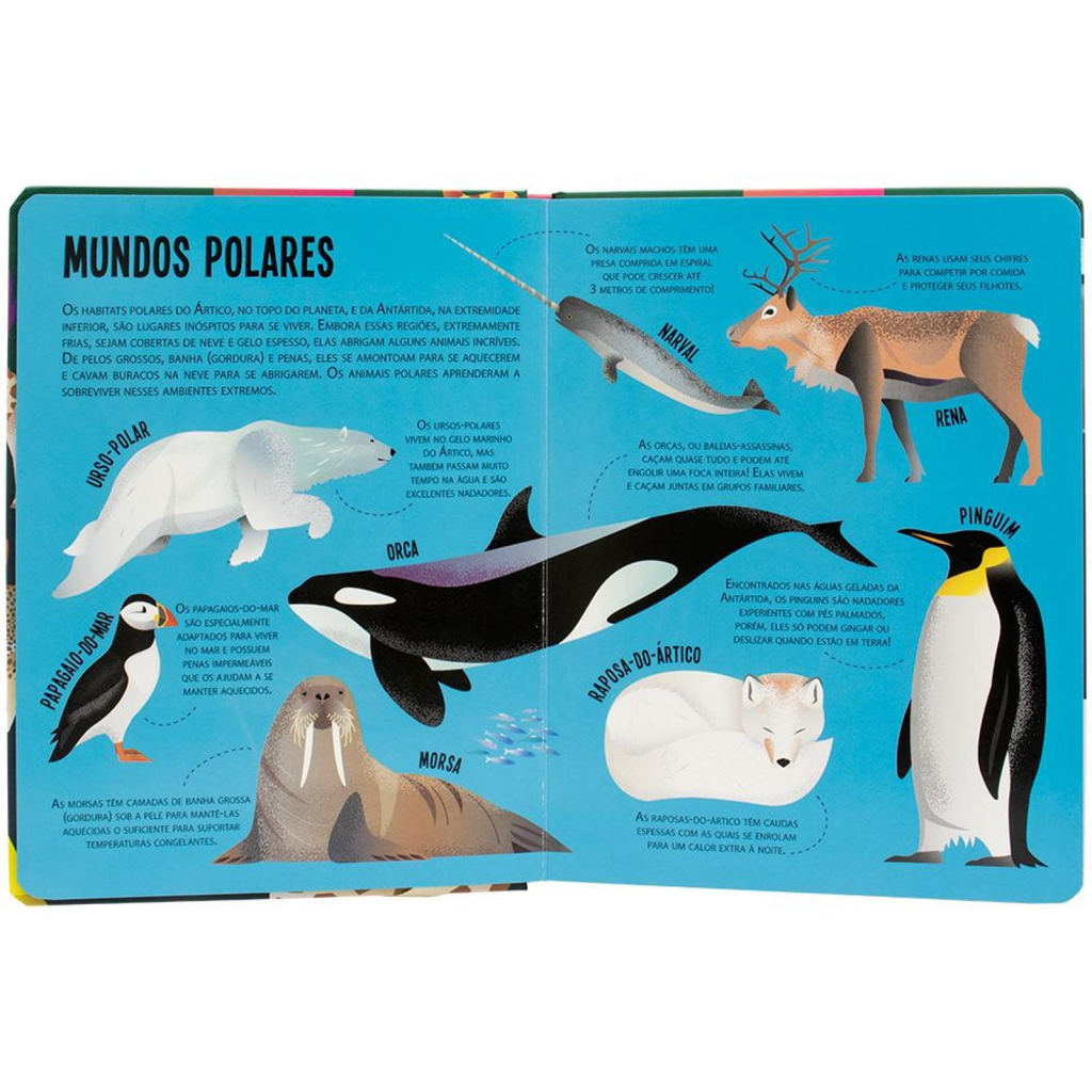 Lanterna - Procure e encontre! Animais