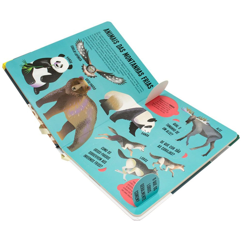 Lanterna - Procure e encontre! Animais