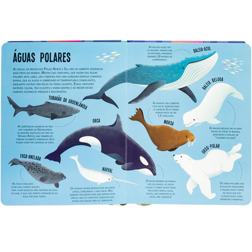 Lanterna - Procure e Encontre! Animais do Oceano