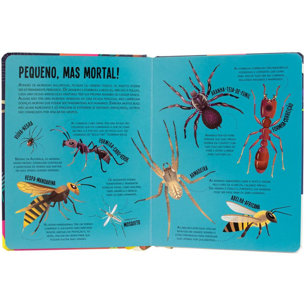 Lanterna - Procure e encontre! Insetos
