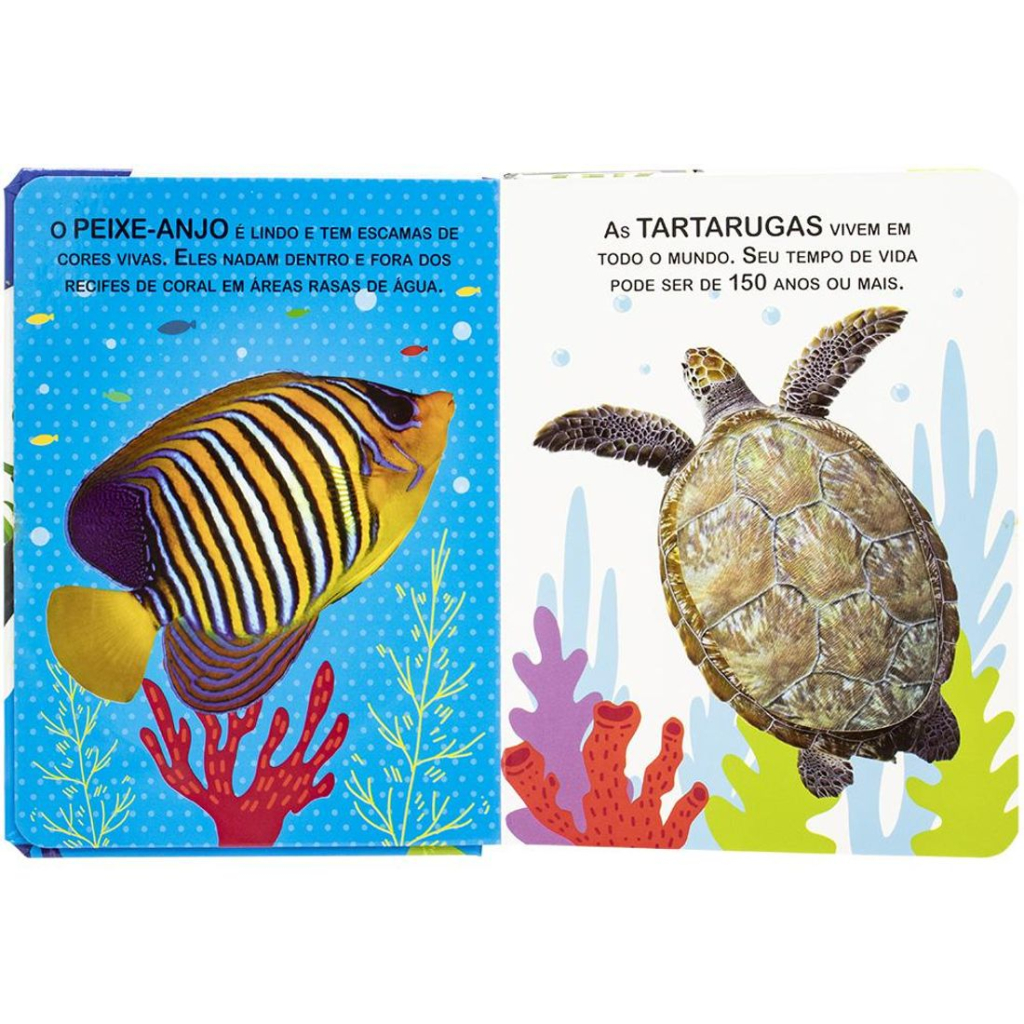 Toque e Sinta II: Animais Marinhos