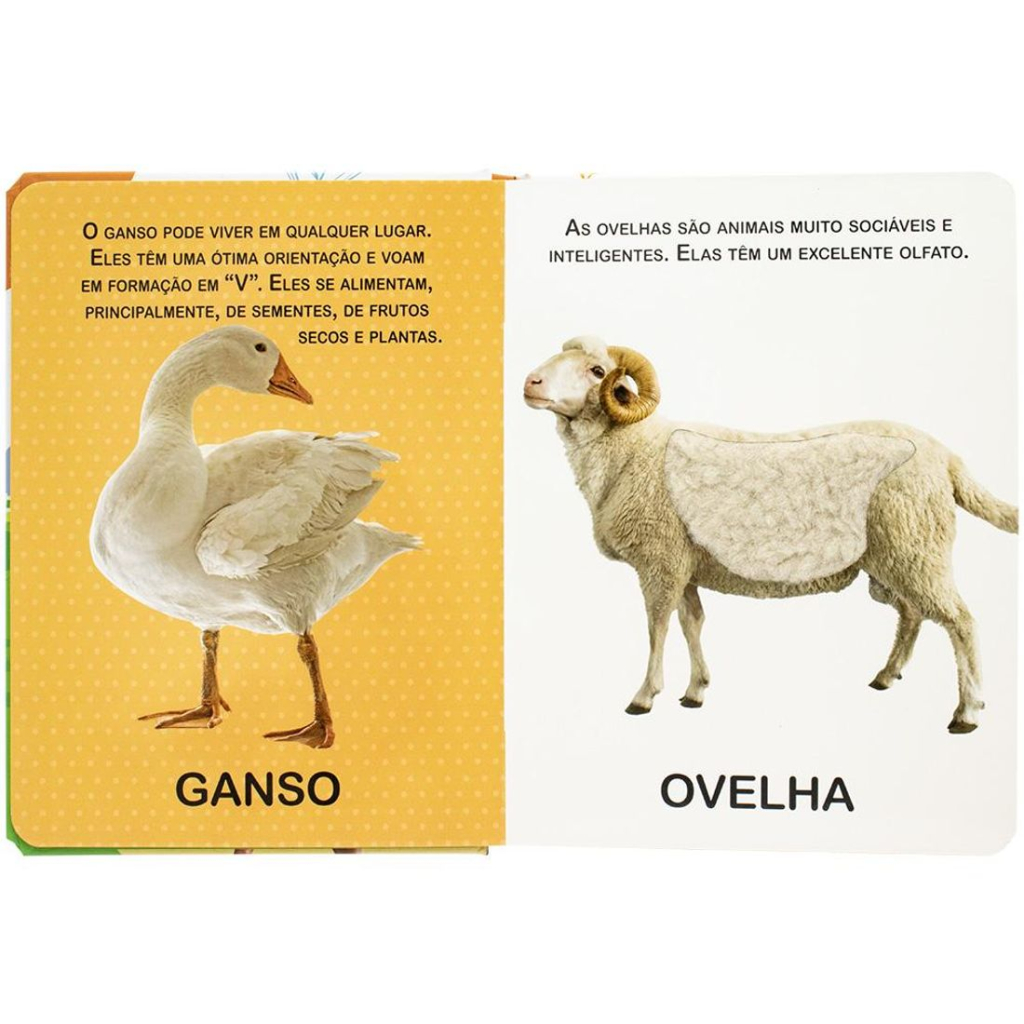 Toque e Sinta II: Na Fazenda