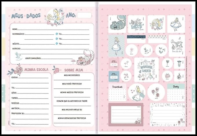CADERNO BROCHURA 1/1 80F - ALICE NO PAÍS DAS MARAVILHAS