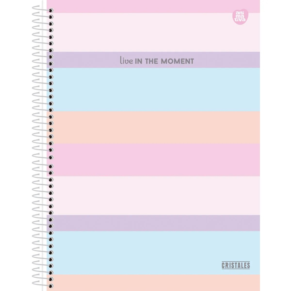 CADERNO UNIVERSITÁRIO 10M 160F - CRISTALES