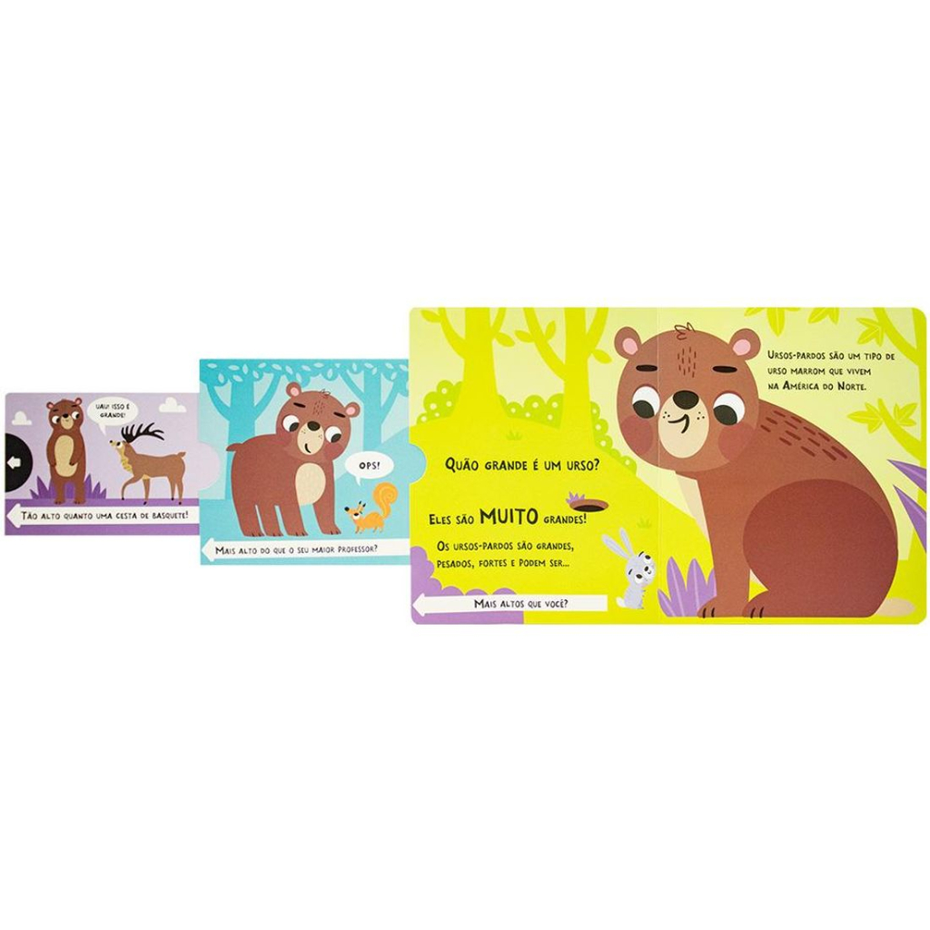 Deslize e Veja: Quão grande é o urso?