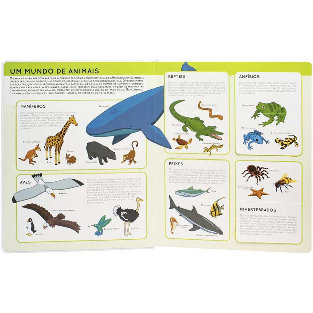Levante & Descubra: Animais