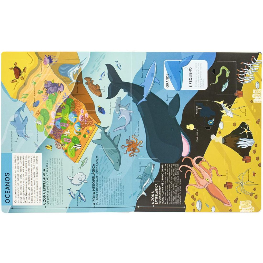 Levante & Descubra: Animais