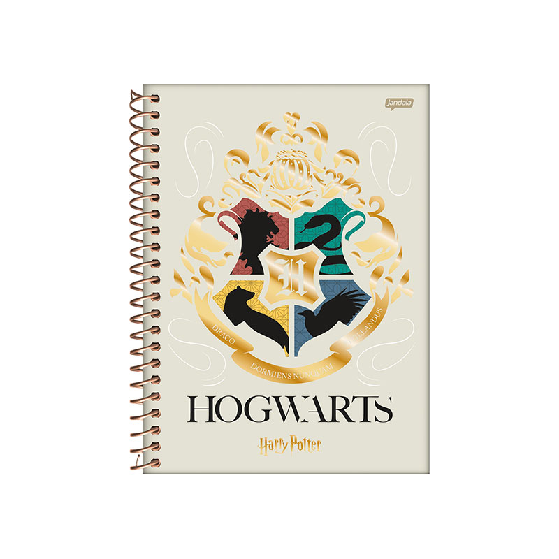 CADERNO COLEGIAL 1/1 80FLS - HARRY POTTER