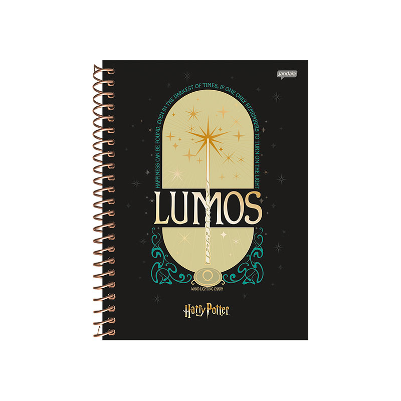 CADERNO COLEGIAL 1/1 80FLS - HARRY POTTER