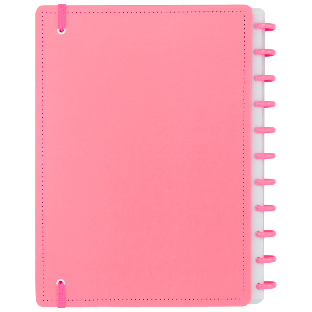 CADERNO INTELIGENTE ALL PINK - GRANDE