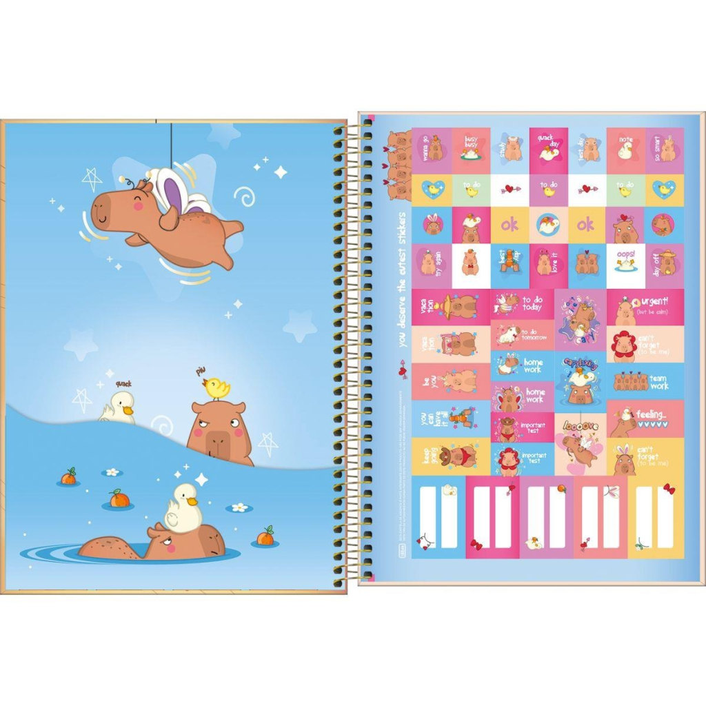 CADERNO UNIVERSITÁRIO 1M 80F - CAPYCLUB CAPIVARA