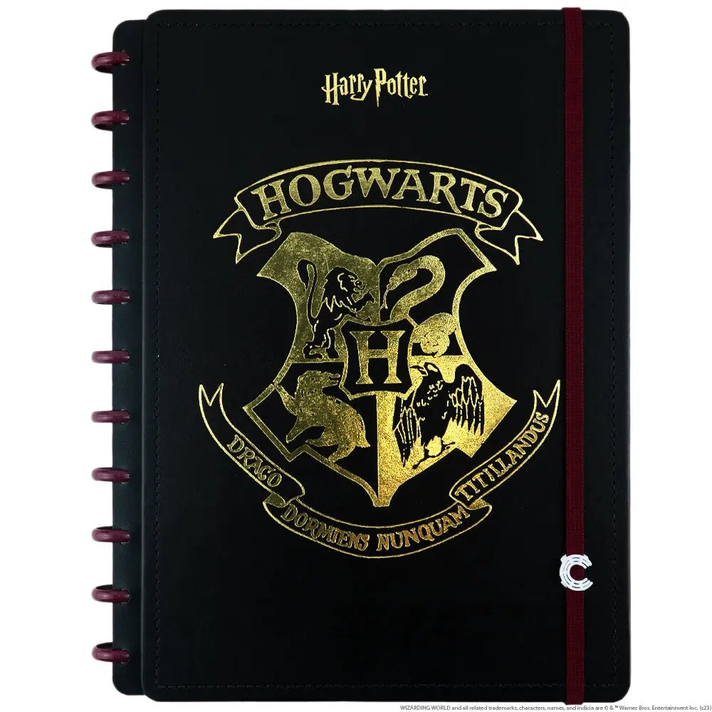 CADERNO INTELIGENTE CI BY HARRY POTTER - GRANDE