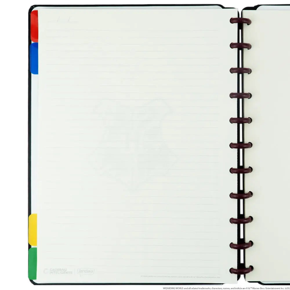 CADERNO INTELIGENTE CI BY HARRY POTTER - GRANDE