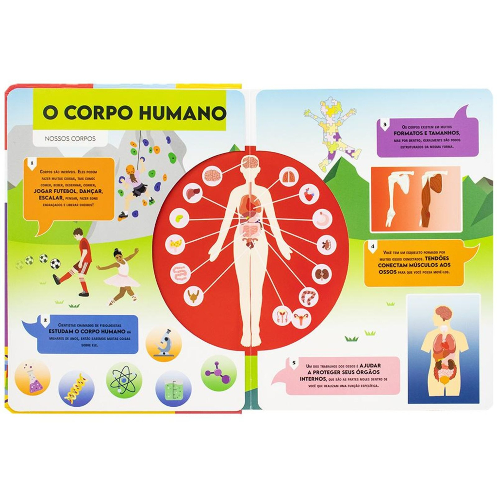 VAMOS FALAR SOBRE... CORPO HUMANO