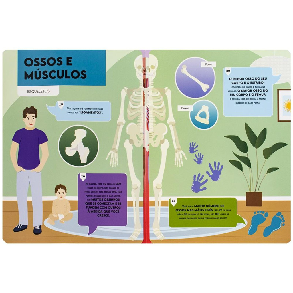 VAMOS FALAR SOBRE... CORPO HUMANO