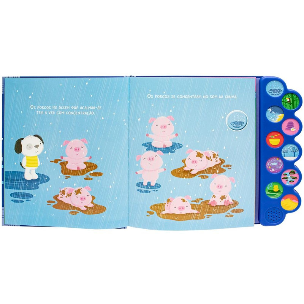 ZEN ZOO - ACALME-SE - UM LIVRO SONORO CONSCIENTE