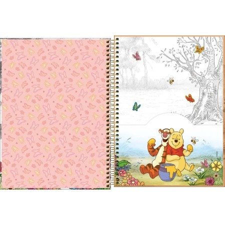 CADERNO UNIVERSITÁRIO POOH CORE 1M 80F