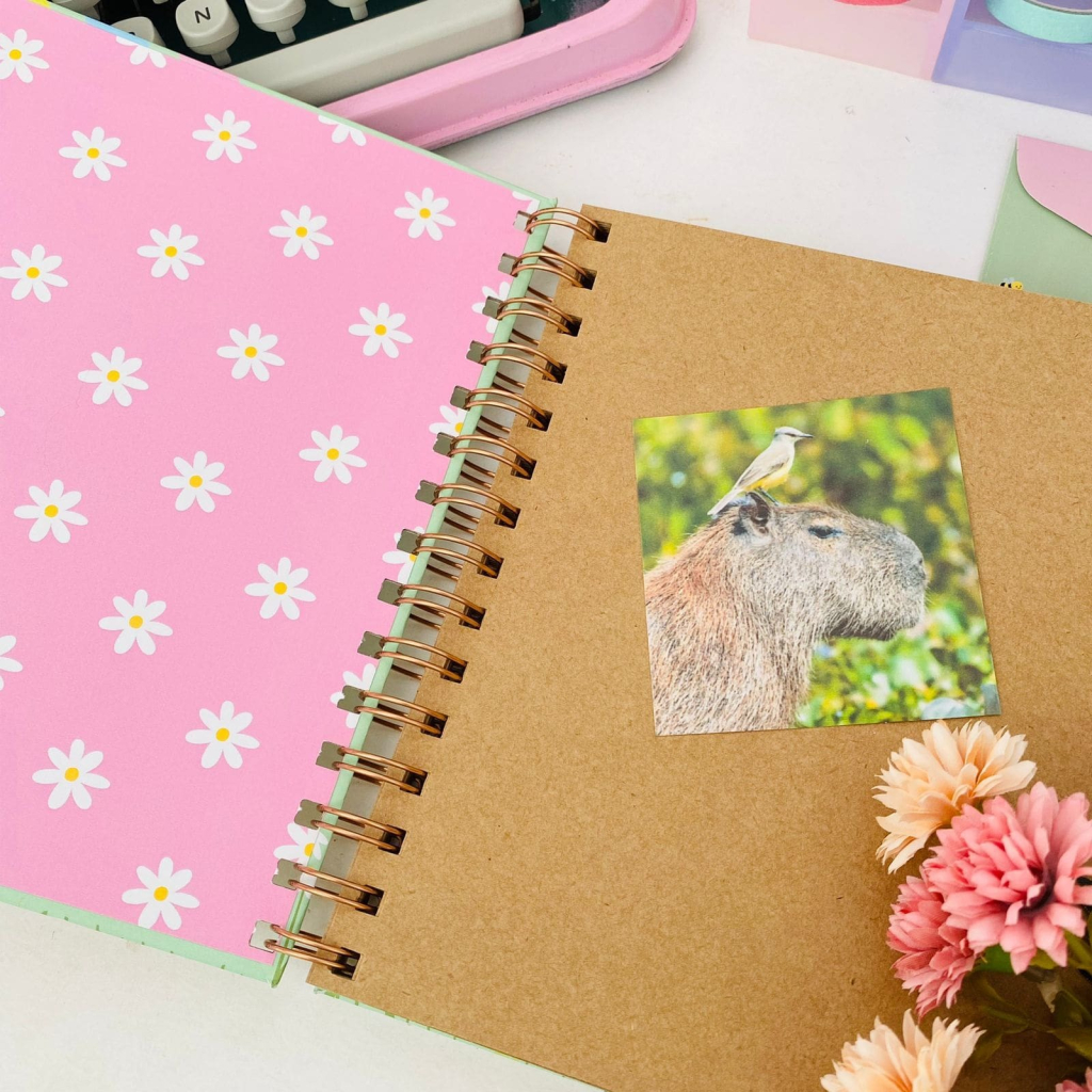 Scrapbook 30 Folhas Capivaras 19x19 cm