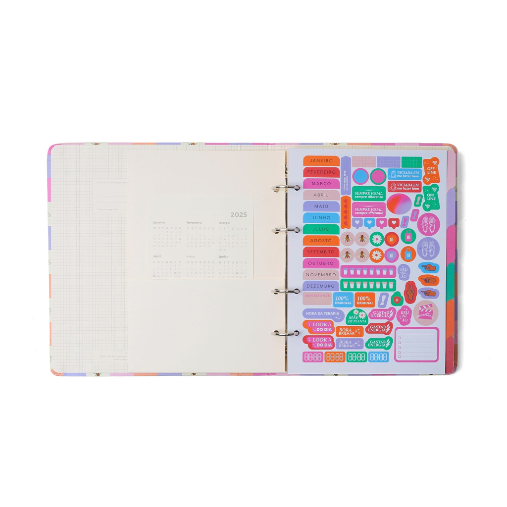 CADERNO CRIATIVO ARGOLADO MELISSA PAUTADO 17X24 CASINHA DAS ABELHAS