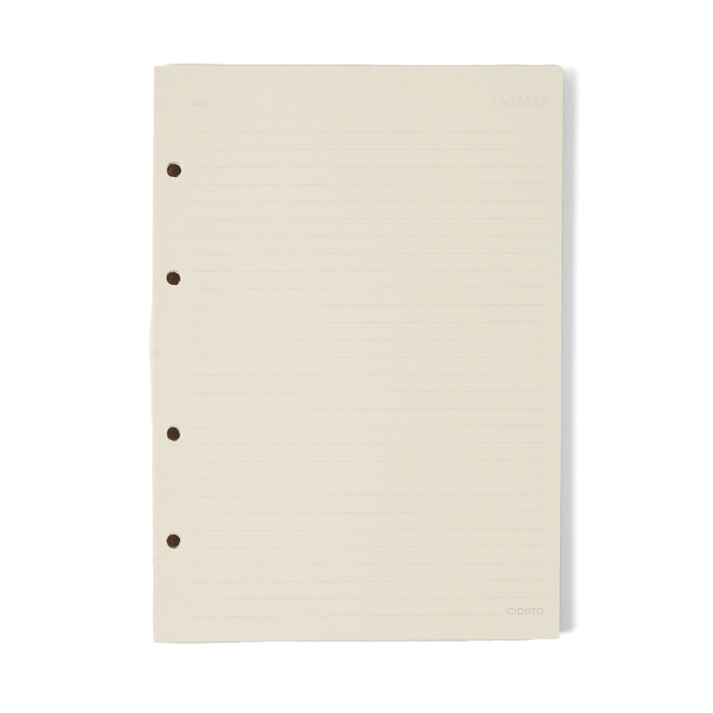 CADERNO CRIATIVO ARGOLADO PRAIA PAUTADO 17X24 CACHORROS