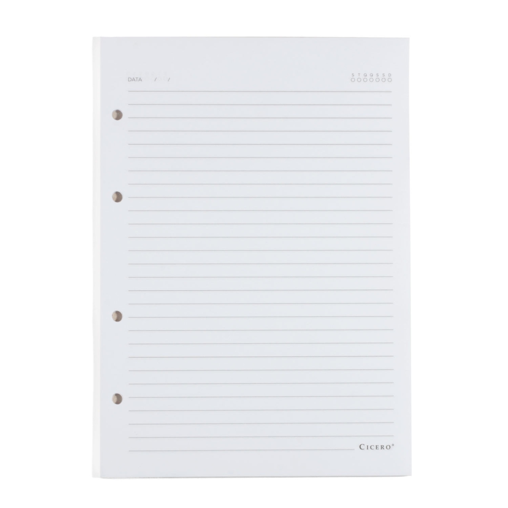 REFIL CADERNO CRIATIVO ARGOLADO 40FLS OFFSET 90G PAUTADO 17X24