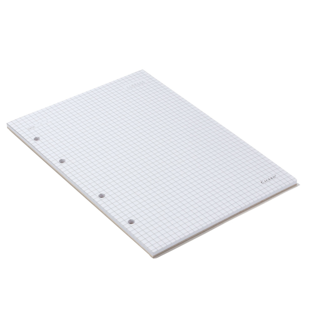 REFIL CADERNO CRIATIVO ARGOLADO 40FLS OFFSET 90G QUADRICULADO 17X24