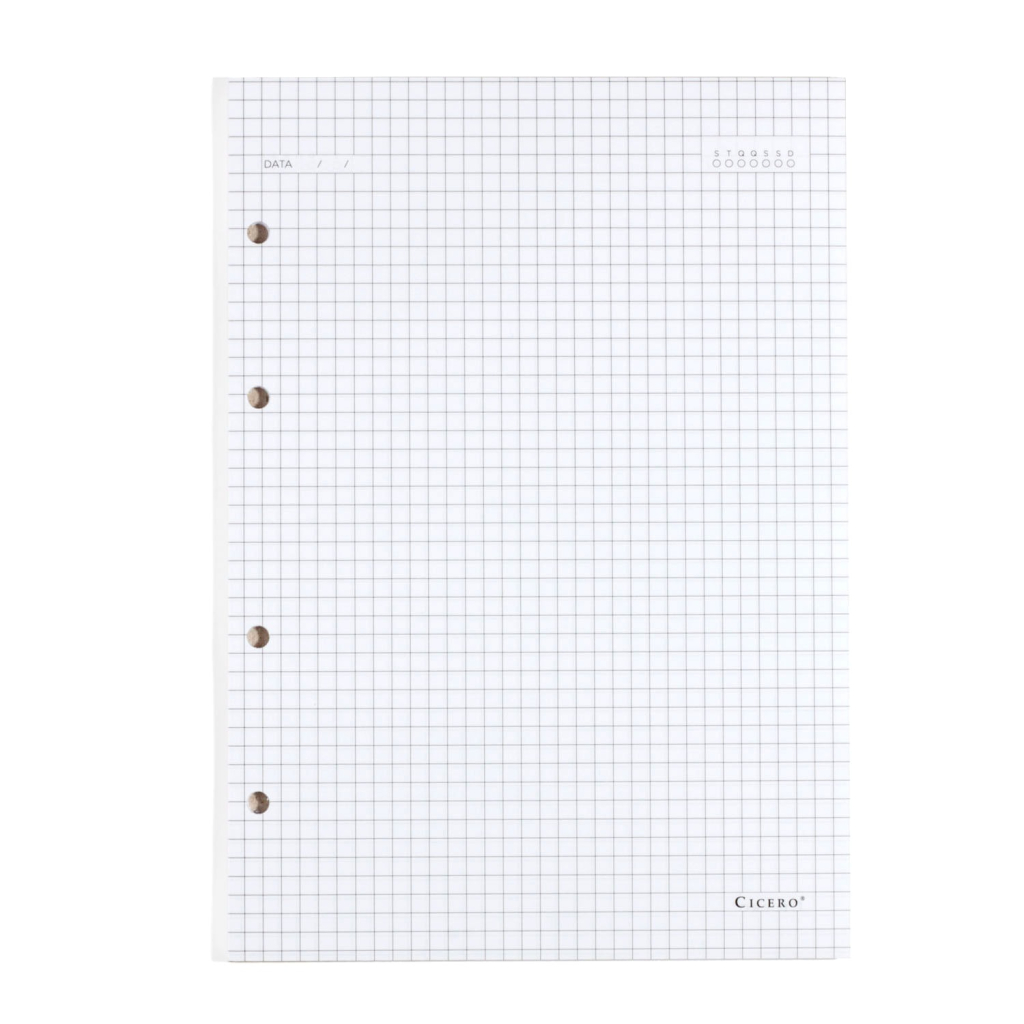 REFIL CADERNO CRIATIVO ARGOLADO 40FLS OFFSET 90G QUADRICULADO 17X24
