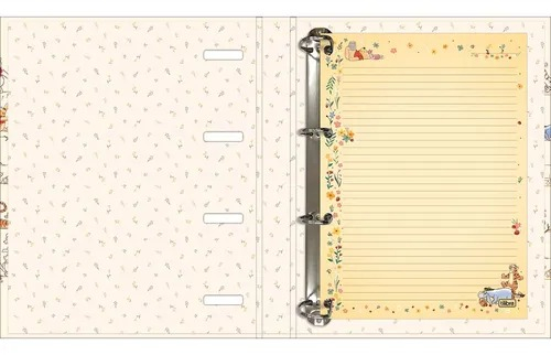 CADERNO ARGOLADO CARTONADO POOH 48F