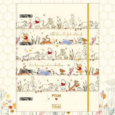 CADERNO ARGOLADO CARTONADO POOH 48F