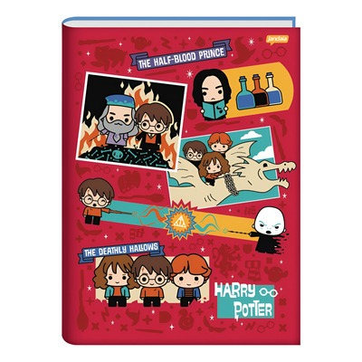 CADERNO BROCHURA 1/1 96FLS HARRY POTTER