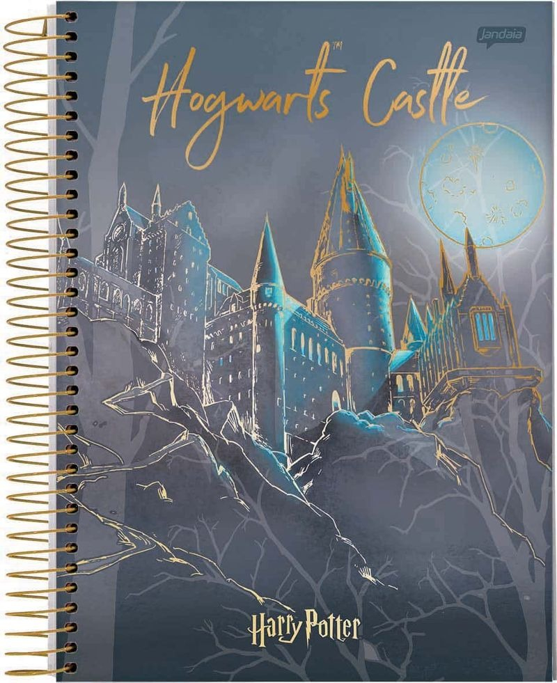 CADERNO ESPIRAL COLEGIAL 80FLS HARRY POTTER SPECIAL EDITION