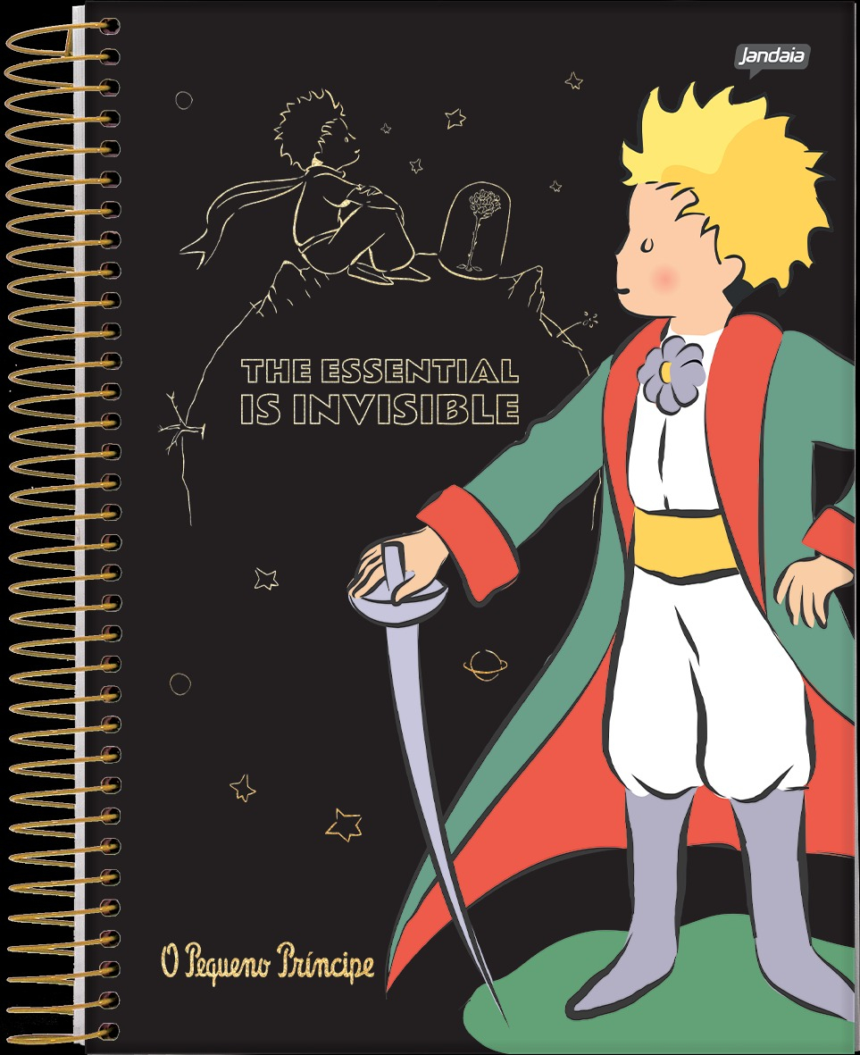 CADERNO ESPIRAL COLEGIAL 80FLS O PEQUENO PRINCIPE